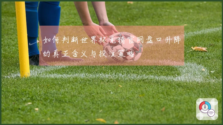 如何判断世界杯竞猜官网盘口升降的真正含义与投注策略