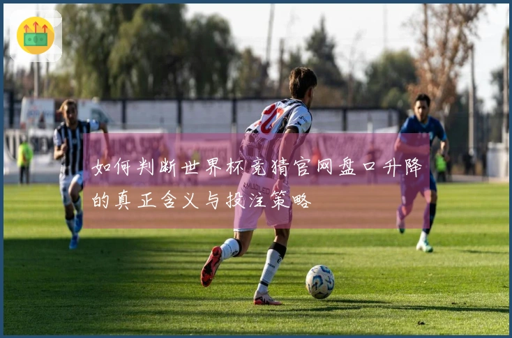 如何判断世界杯竞猜官网盘口升降的真正含义与投注策略