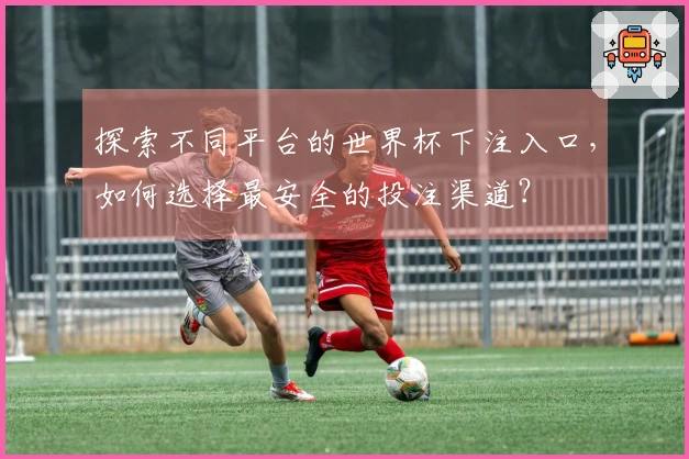 探索不同平台的世界杯下注入口，如何选择最安全的投注渠道？