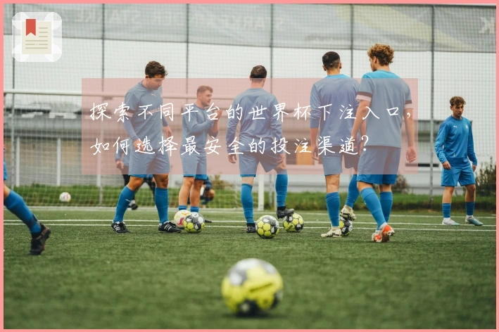 探索不同平台的世界杯下注入口，如何选择最安全的投注渠道？